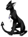 evil black cat