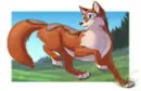 fox