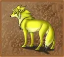 golden wolf