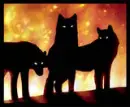 evil wolves