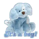 It's a boy with blue dog