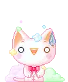 confused cat