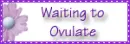 Waiting to Ovulate