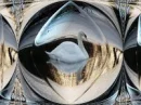 Distorted