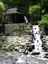 wooden house in the forest near the river