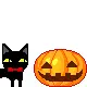kitty and pumkin