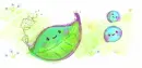 cute tree leaf with water drops