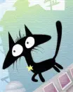 amazing cat