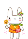 bunny