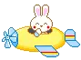 bunny