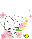 bunny