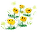 yellow flowers