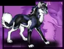 wolf