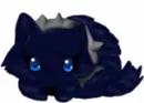 wolf saphire
