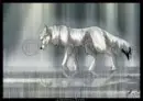 wolf in rain