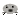 cute seal