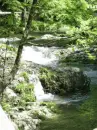 River