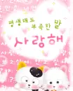 kitty cat lovers