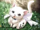 My name with cat