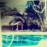Paradise
