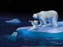 coke polar bears