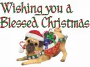 Blessed Christmas