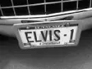ELVIS TAG