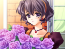 Violet Roses