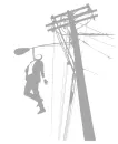 hanging from a telephone pole.