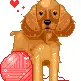 Play Doggie