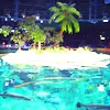 Paradise