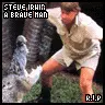 Steve Irwin