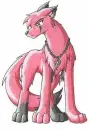 red wolf