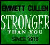 Twilight Emmett Cullen