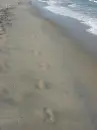footprints 