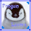 penguin lovers