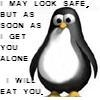 penguin
