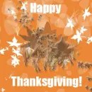 Happy Thanksgiving