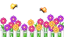 cute little flowers