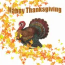 Happy Thanksgiving