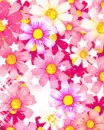 shiny flowers