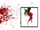 bleeding roses