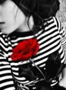 red rose