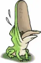 Frog Crying