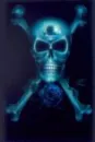 blue rose and skull