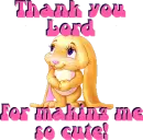 Cute_Bunny_Cute