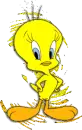 Tweety Glitter