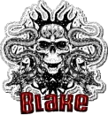 blake glitter skull