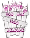You are welcome