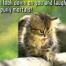 AAAWWW Kitty!!!!!!!!!!!!!!!!!!!!!!!!!!!